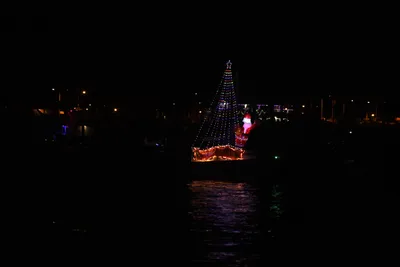 DSC_2478 (Large).JPG